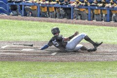 CollegeBaseballUKvsMissouri3-21-21DRSVA-42