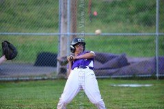 HSBaseballBuckhornvsLeeCo4-19-21TMSVA-133