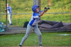 HSBaseballBuckhornvsLeeCo4-19-21TMSVA-63