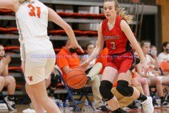 HSGBWilliamsburgvsSLaurel2-13-21JCSVA-91