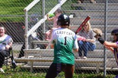 HSSoftballBuckhornv-JenkinsSenior-Day5-8-21TMSVA-54