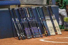 NCAASoftballUKvsNotreDame5-23-21DRSVA-91