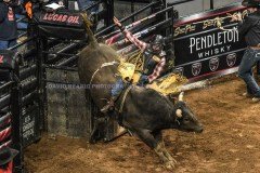 PBRVelocityTourLexingtonInvitational2-19-21DRSVA-118