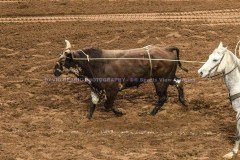 PBRVelocityTourLexingtonInvitational2-19-21DRSVA-93