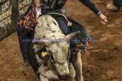 PBRVelocityTourLexingtonInvitational2-19-21DRSVA-98