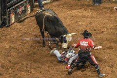 PBRVelocityTourLexingtonInvitational2-19-21DRSVA-49