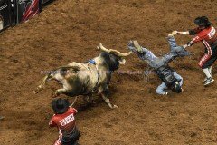 PBRVelocityTourLexingtonInvitational2-19-21DRSVA-54