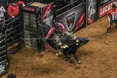 PBRVelocityTourLexingtonInvitational2-19-21DRSVA-57