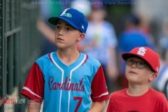 ProBaseballLexingtonLegendsvsPower6-6-21DPSVA-13