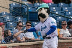 ProBaseballLexingtonLegendsvsPower6-6-21DPSVA-2