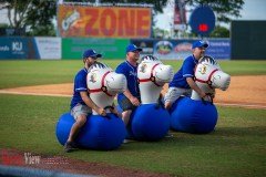 ProBaseballLexingtonLegendsvsPower6-6-21DPSVA-47