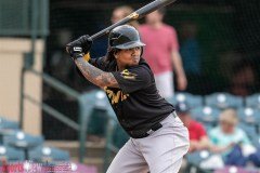 ProBaseballLexingtonLegendsvsPower6-6-21DPSVA-5