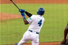 ProBaseballLexingtonLegendsvsRockers7-9-21DPSVA-54