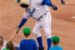 ProBaseballLexingtonLegendsvsRockers7-9-21DPSVA-72