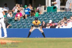 ProBaseballLexingtonLegendsvsWVirgPower6-5-21DPSVA-11