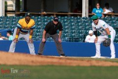 ProBaseballLexingtonLegendsvsWVirgPower6-5-21DPSVA-12