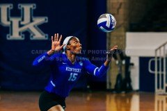 UKVolleyballOpenScrimmage8-15-211CMSVA-108