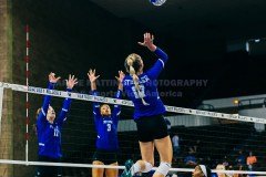 UKVolleyballOpenScrimmage8-15-211CMSVA-49